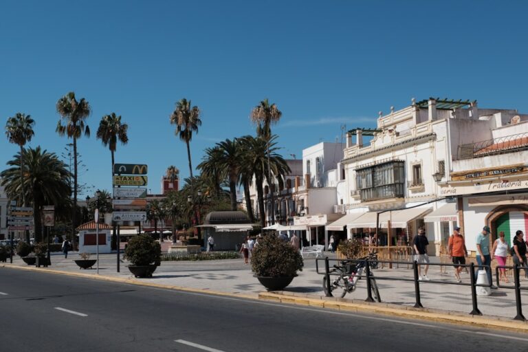 Calle soleada de una localidad costera española con palmeras y edificios blancos